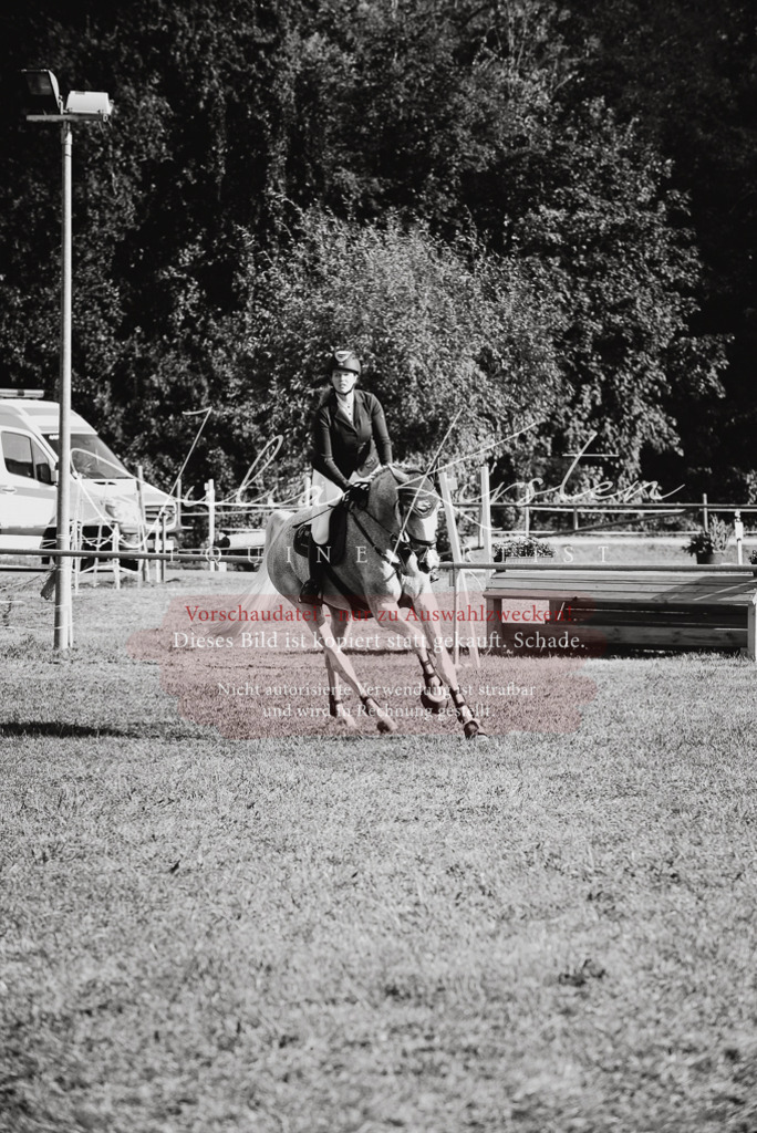 DSC_5211 | Pferde- und Turnierfotografie in Westsachsen. Pferdeportraits, Auftragszeichnungen und intuitive Kunst.
