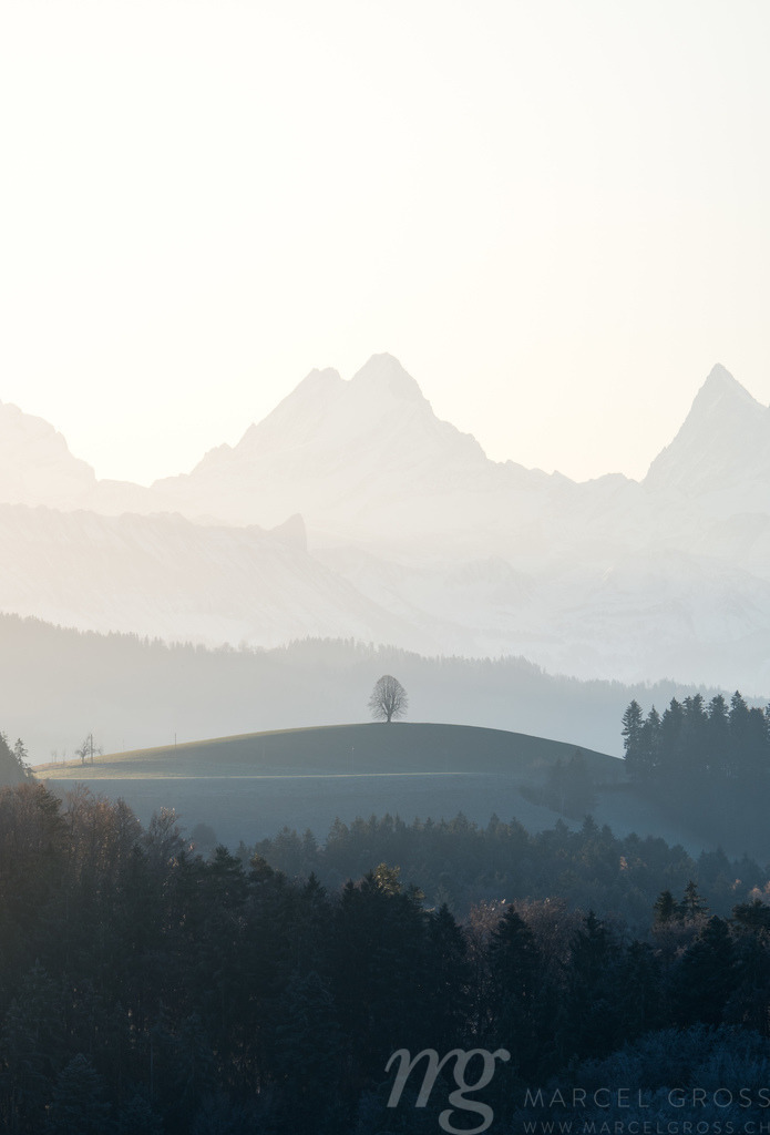 impressive Schreckhorn with peak in front a cold autumn morning | Die ideale Geschenkidee für Naturliebhaber. Naturbilder von Marcel Gross Photography für ihr Zuhause in den verschiedensten Formaten und Materialien. - Realisiert mit Pictrs.com