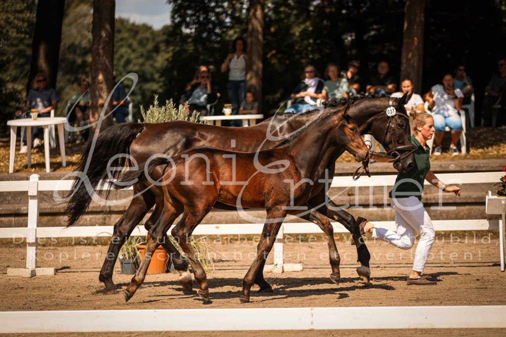 07.DoWBS00056 | Leoni Ertmer Photography - Realisiert mit Pictrs.com