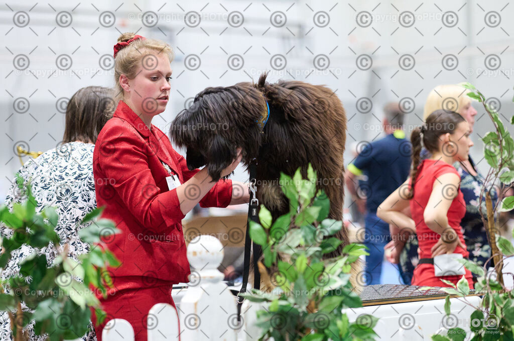 202406_ÖKV-IHA-Tulln24_DSC_3207 | proPHOTO - Realisiert mit Pictrs.com