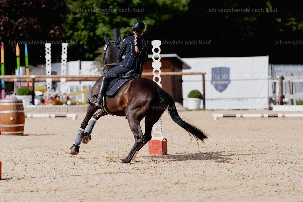 Leonie24_FHC2025-43 | working equitationturnier fotograf videograf stoibphotography marixx film working equitation deutschland reitsport turnierfotografie eventfotografie equestrian events