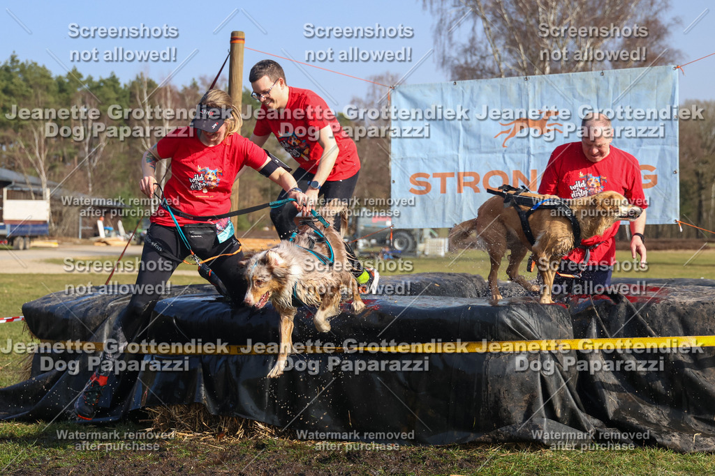 Dog Paparazzi - Strongdog North Mrz26-2604 | Dog Paparazzi Jeanette Grottendiek Fotografie & Videografie - Realisiert mit Pictrs.com