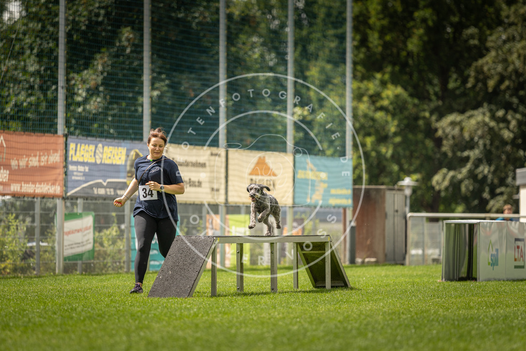 Pfotenfotografie_DV3A3338 | Hundefotografie, Tierfotograf, Pfotenfotografie, Fotoshooting Hund, Hunde Portrait, Hundesport, Hundeportraits, Heideshooting, Hunde, Sportfotograf, Hundefotograf, Turnierhundsport, THS,  - Realisiert mit Pictrs.com