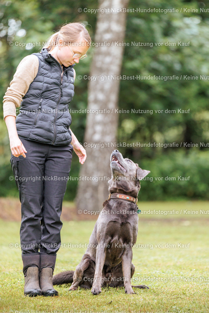 RO-Blumenthal-2026-Nickbest-Hundefotografie-1016 | Dein Hund! Dein Moment! Deine Erinnerungen! Hundefotografie in Bremen Blumenthal. Ich fange die besonderen Momente deines Vierbeiners ein – ob Indoor mit Blitzanlage oder in der freien Natur. Sicher dir dein Moment und dein Termin für eure Erinnerungen.