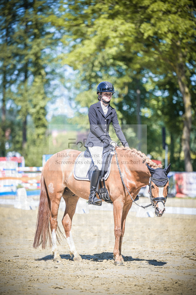 DOS_5297 | Entdecke hochwertige Reitturnierfotos von Foto Oger. Professionell, emotional und authentisch – jetzt Lieblingsmomente im Shop bestellen.Deutschlandweite Turnierfotografie. - Realisiert mit Pictrs.com