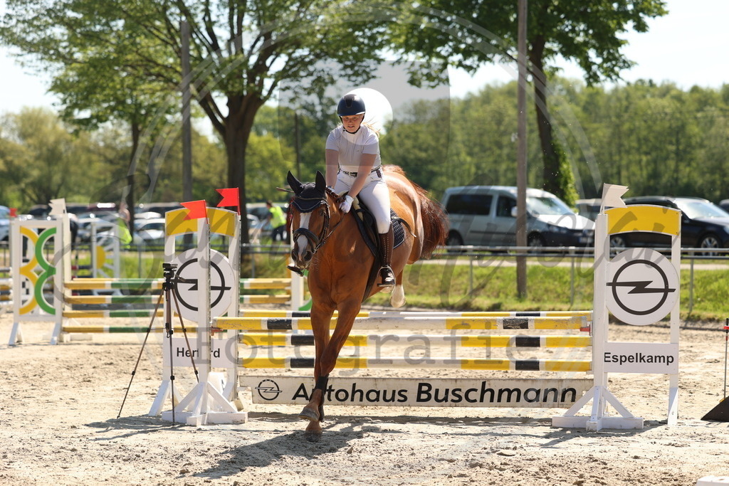 994A5675 | sabrinanicolaifotografie - Realisiert mit Pictrs.com