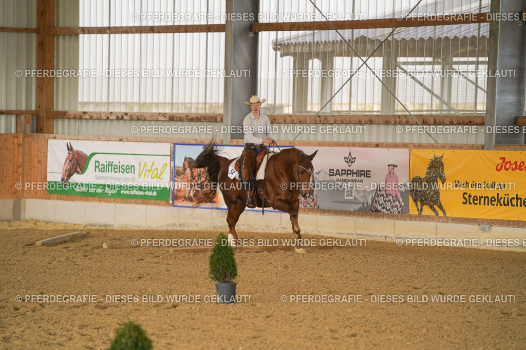 DSC01541 | Pferdegrafie