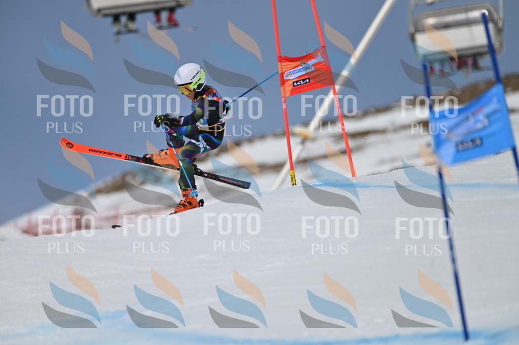 BGV_6009 | holidayphoto