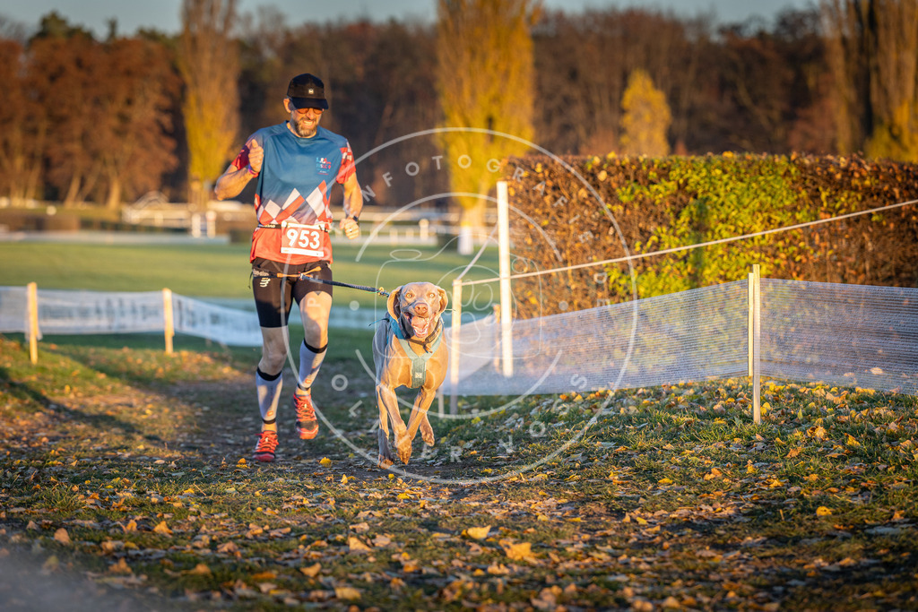 CaniXpix_DV3A5675 | Hundefotografie, Tierfotograf, Pfotenfotografie, Fotoshooting Hund, Hunde Portrait, Hundesport, Hundeportraits, Heideshooting, Hunde, Sportfotograf, Hundefotograf, Turnierhundsport, THS,  - Realisiert mit Pictrs.com