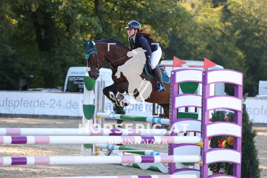 0P6A0797 | Willkommen bei Brunnmayr - Design & Fotografie – Ihrem Spezialisten für Reitturniere und Pferdeveranstaltungen in Oberösterreich, Salzburg und Bayern! Seit über 17 Jahren sind wir leidenschaftlich dabei.