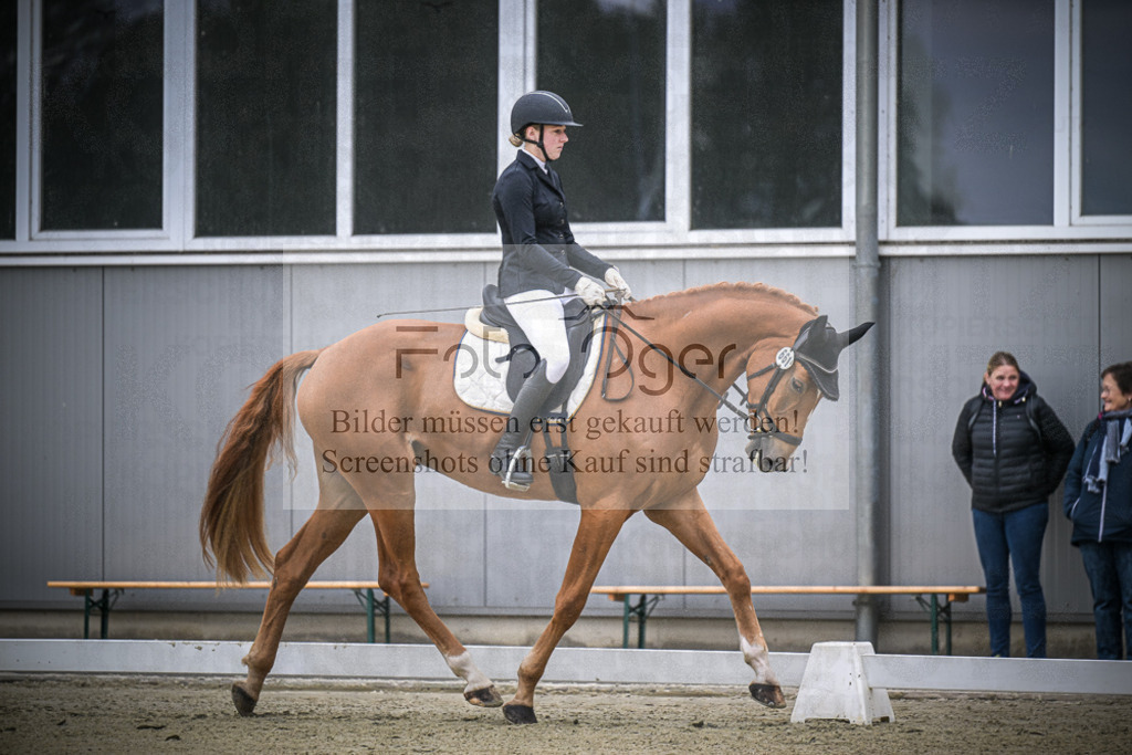 DOS_0202 | Entdecke hochwertige Reitturnierfotos von Foto Oger. Professionell, emotional und authentisch – jetzt Lieblingsmomente im Shop bestellen.Deutschlandweite Turnierfotografie. - Realisiert mit Pictrs.com
