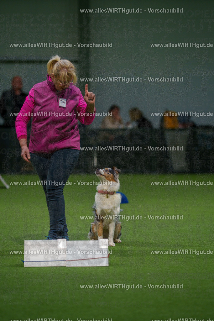 7R504134 | Professionelle Tierfotografie in Mönchengladbach von Daniel Wirth (allesWIRTHgut). Liebevolle & natürliche Bilder von Hunden & Katzen für unvergessliche Erinnerungen.