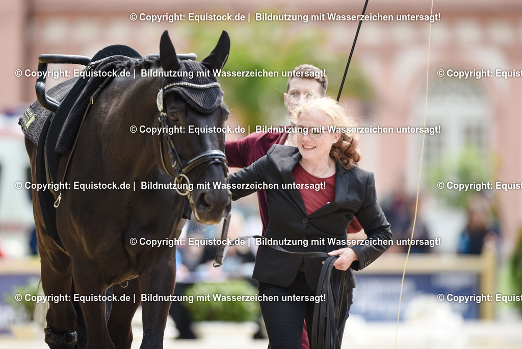 20250608_CVI-Masterclass_0352 | Foto: Thomas Hartig