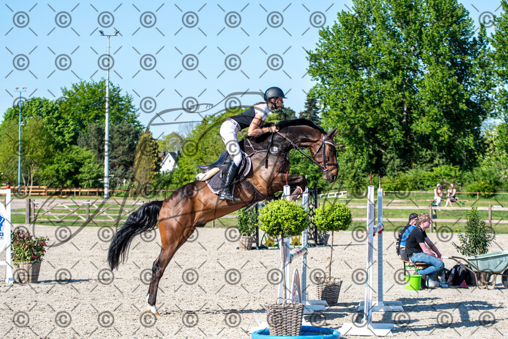 KPT_1896 | andre_photographic