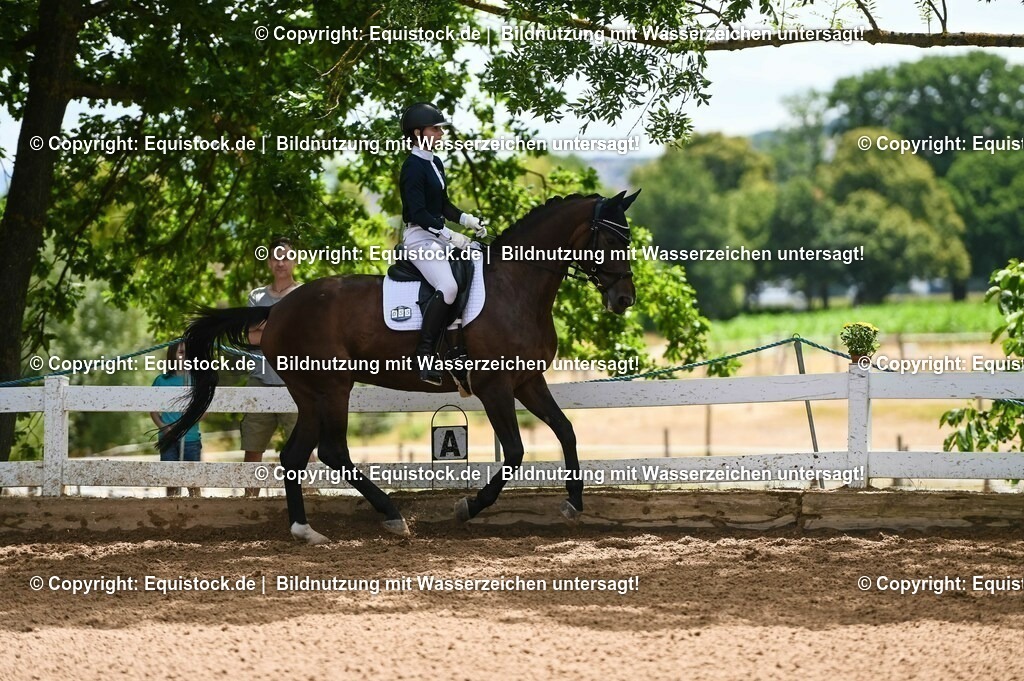 20230716_03_Dressurprfg. Kl.L - Tr._0268 | equistock