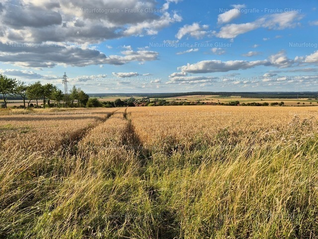 F.Gläser_184825 | Naturfotografie Frauke Gläser - Realisiert mit Pictrs.com