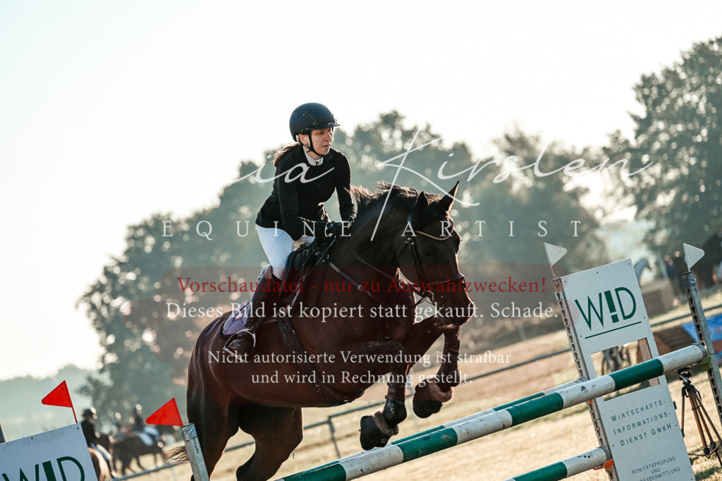 DSC_3794 | Pferde- und Turnierfotografie in Westsachsen. Pferdeportraits, Auftragszeichnungen und intuitive Kunst.