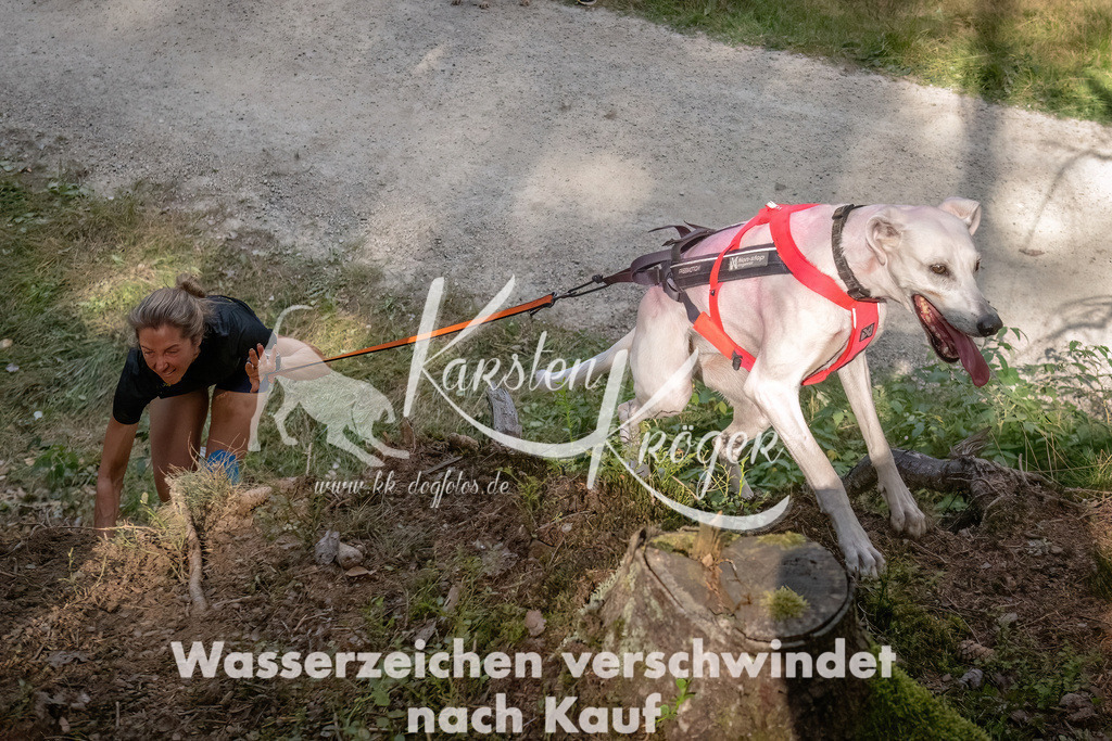 1047_ZZ92347 | kk-dogfotos