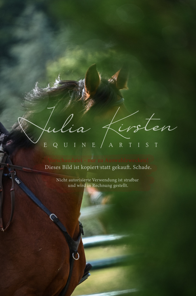 DSC_7795 | Pferde- und Turnierfotografie in Westsachsen. Pferdeportraits, Auftragszeichnungen und intuitive Kunst.