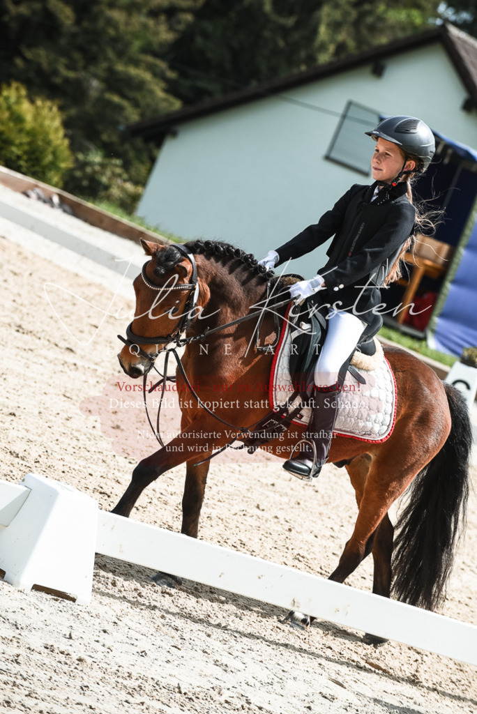 20230518_JK-Röhrsdorf-11-0785 | Pferde- und Turnierfotografie in Westsachsen. Pferdeportraits, Auftragszeichnungen und intuitive Kunst.