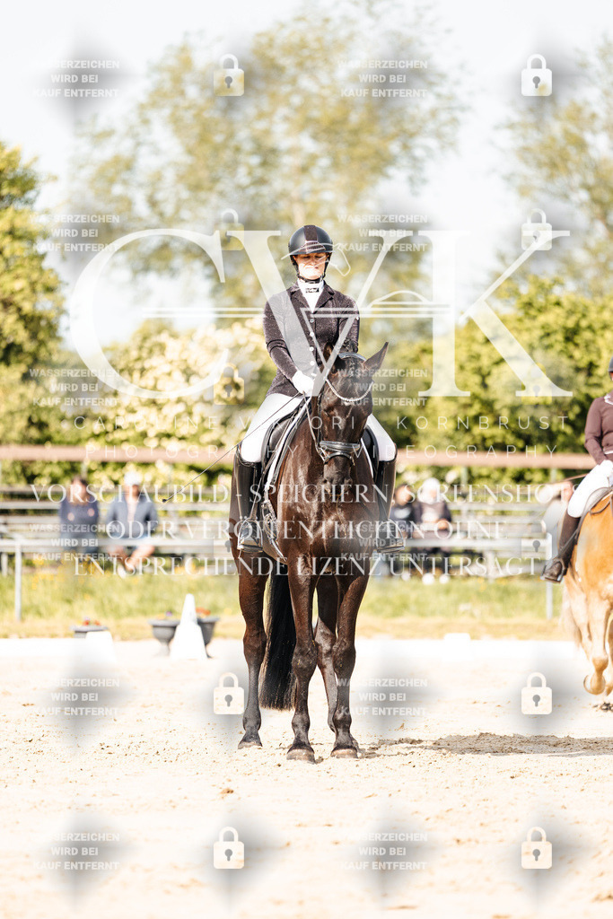 CK900178 | Turnierfotografie Pferdefotografie Trier Rheinland-Pfalz Pferdesport Reitsport Tierfotografie Sportfotografie Pferdevideo Pferdevideografie Equestrianvideography equestrianphotography  - Realisiert mit Pictrs.com