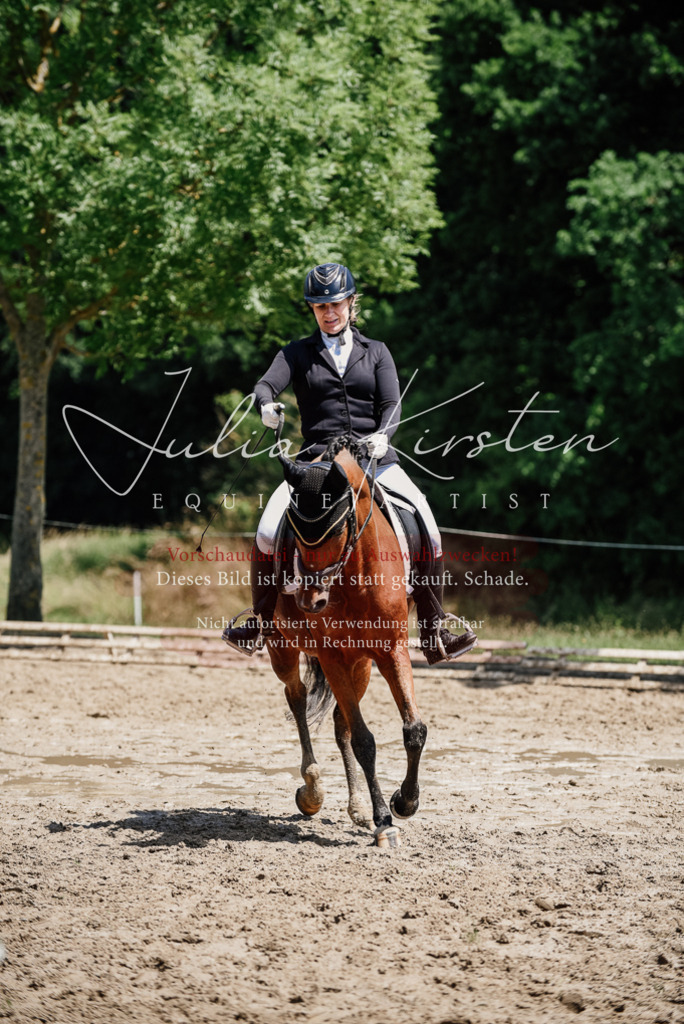 DSC_1871 | Pferde- und Turnierfotografie in Westsachsen. Pferdeportraits, Auftragszeichnungen und intuitive Kunst.