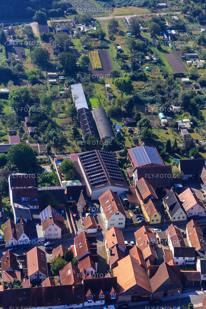 Landwirtschaftliche Hallen am Hintergraben | Luftbild: Landwirtschaftliche Hallen am Hintergraben in Kandel im Bundesland Rheinland-Pfalz in Deutschland. Foto: IMG_094912.jpg vom 24.09.2016 durch Werner Riehm/FLY-FOTO.de - Realisiert mit Pictrs.com