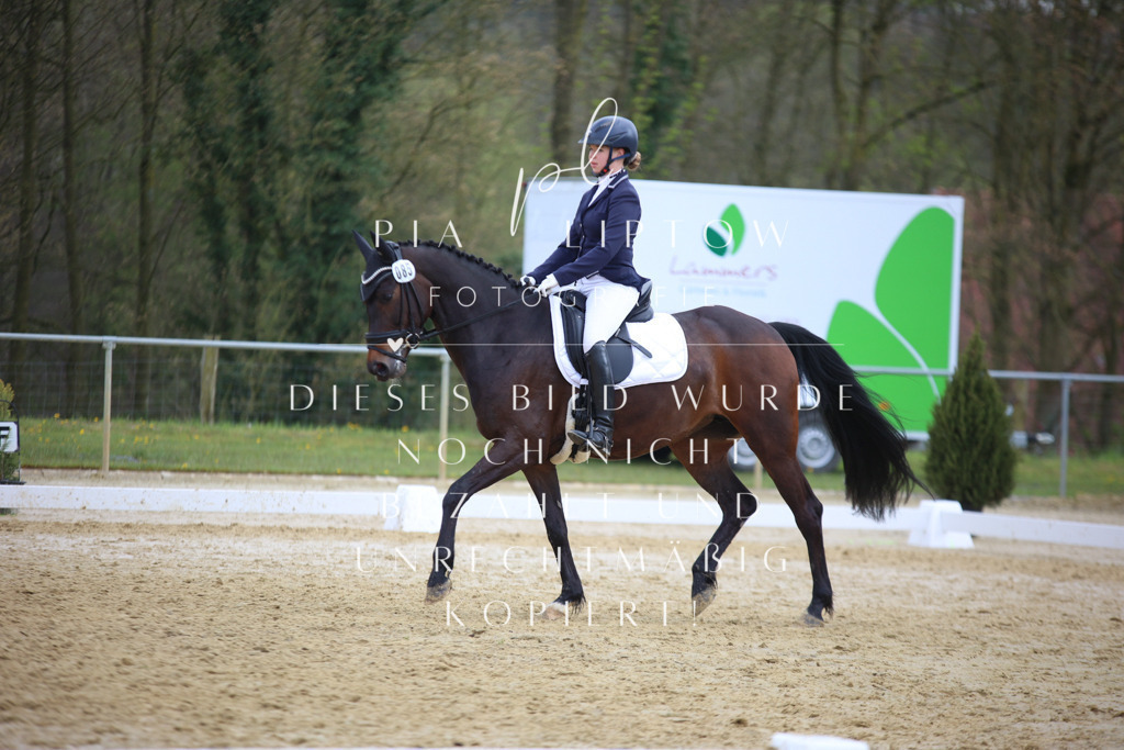 IMGT6040 | pl-fotografie