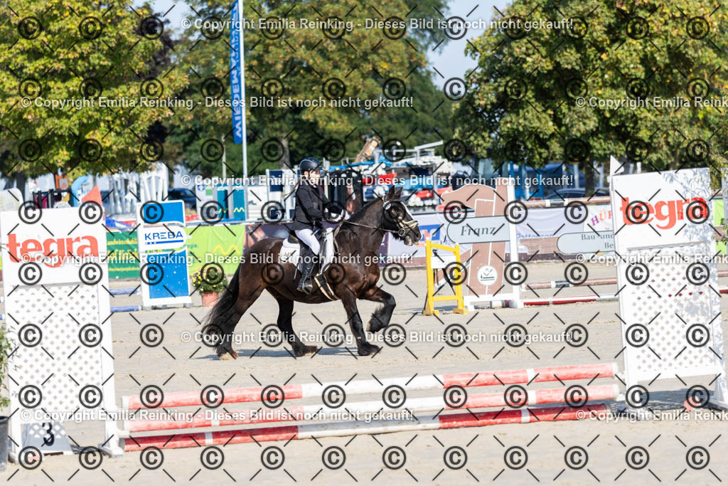 CL5A0041 | Emilia Reinking Fotografie - Realisiert mit Pictrs.com