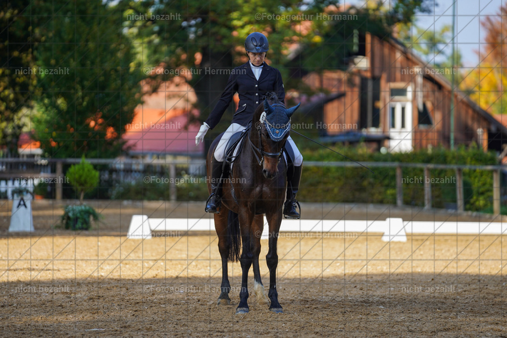 20221007-FAH00141 | Diessen am Ammersee, 2022, Dressur- und Springturnier, Reitsportbilder, Turnierfotografen Bayern, Pferdefotografen, Fotoagentur Herrmann, Turnierbilder