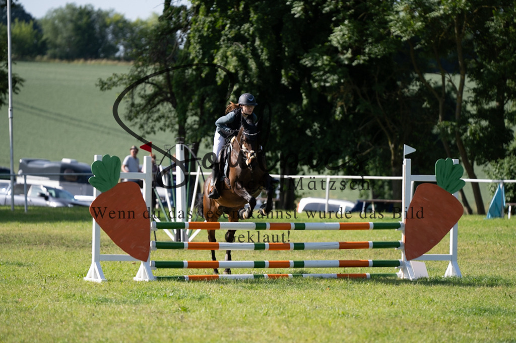 A7V05228 | Pferdefotograf