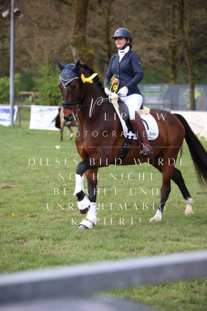 IMGT3470 | pl-fotografie