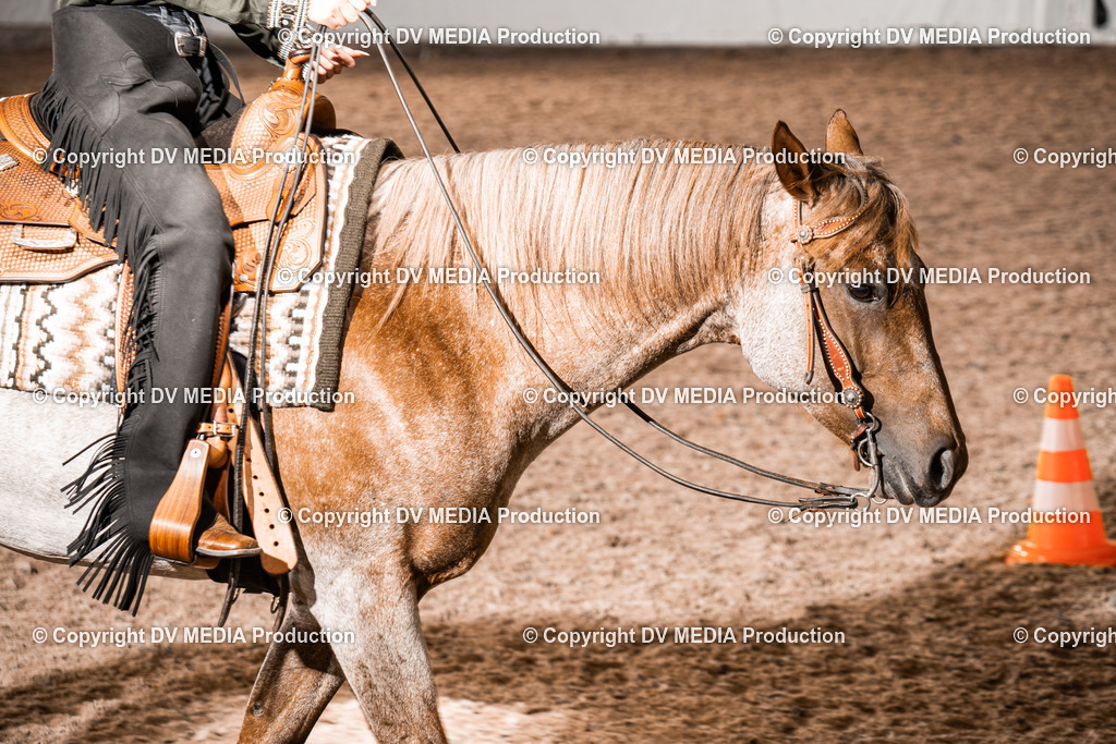 ZH300448 | dv-media-shop - Realisiert mit Pictrs.com