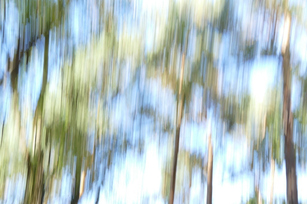 P4040045 | Annaeherungen - Realisiert mit Pictrs.com