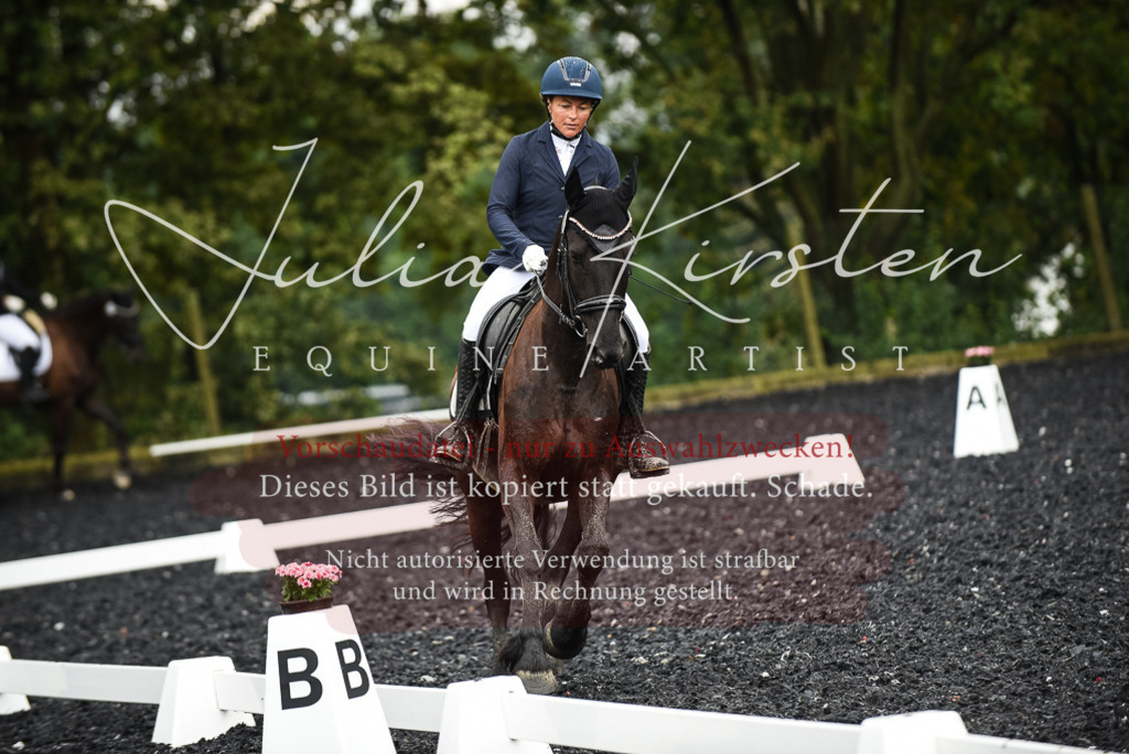 DSC_2800 | Pferde- und Turnierfotografie in Westsachsen. Pferdeportraits, Auftragszeichnungen und intuitive Kunst.