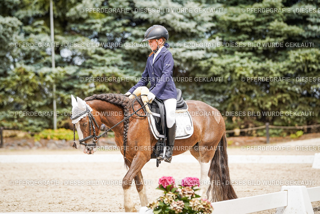 DSC04426 | Pferdegrafie