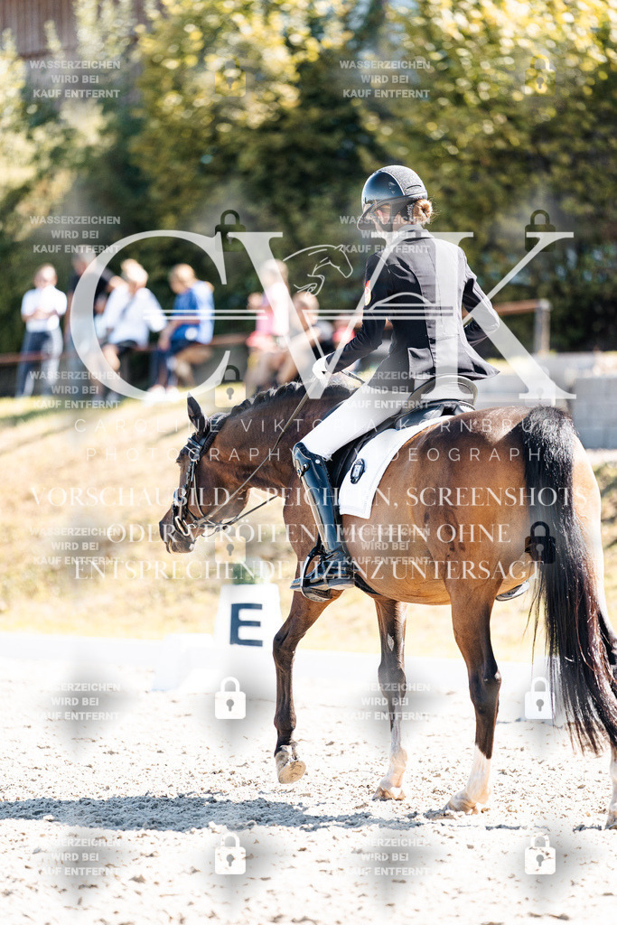CK909693 | Turnierfotografie Pferdefotografie Trier Rheinland-Pfalz Pferdesport Reitsport Tierfotografie Sportfotografie Pferdevideo Pferdevideografie Equestrianvideography equestrianphotography  - Realisiert mit Pictrs.com
