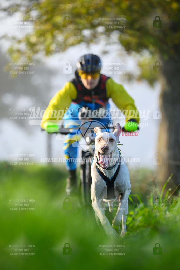 MompixPhotography_20TSB_E3_Bike-141 | PayLife