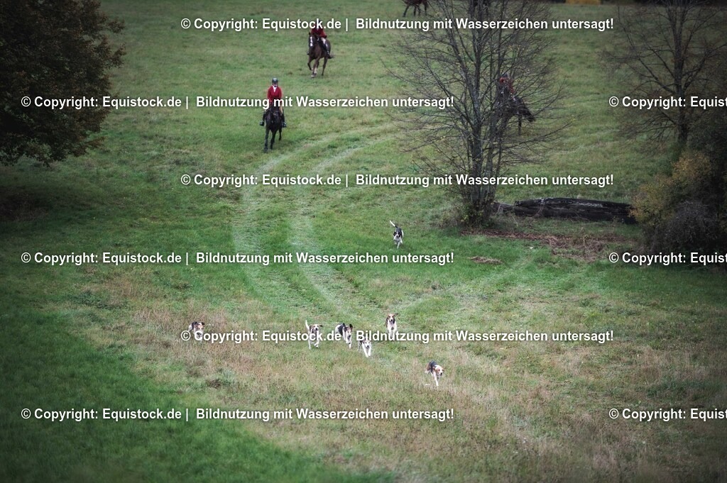 20241013_Jagd-Marbach_0266 | Foto: Thomas Hartig