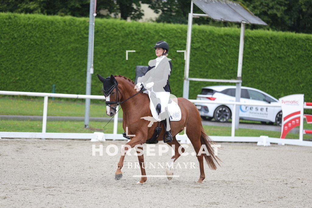 0P6A0110 | Willkommen bei Brunnmayr - Design & Fotografie – Ihrem Spezialisten für Reitturniere und Pferdeveranstaltungen in Oberösterreich, Salzburg und Bayern! Seit über 17 Jahren sind wir leidenschaftlich dabei.