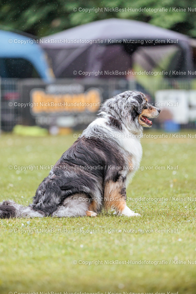 RO-Blumenthal-2026-Nickbest-Hundefotografie-3539 | Dein Hund! Dein Moment! Deine Erinnerungen! Hundefotografie in Bremen Blumenthal. Ich fange die besonderen Momente deines Vierbeiners ein – ob Indoor mit Blitzanlage oder in der freien Natur. Sicher dir dein Moment und dein Termin für eure Erinnerungen.