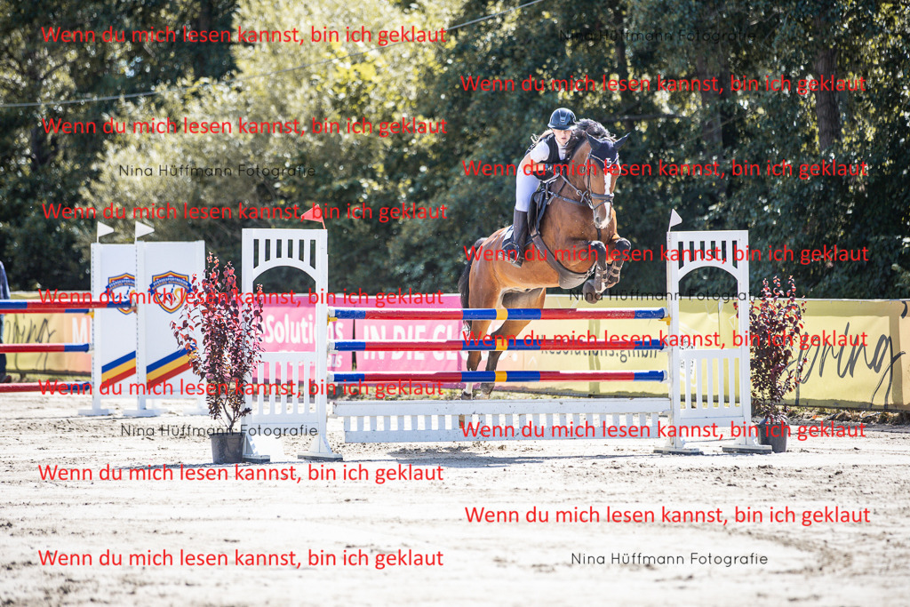 BK1A6645 | Turnierbilder Turnierfotos Nina Hüffmann Turnierfotografie Pferdefotografie Tierzeichnung Haustierzeichnung Pferdezeichnung Hundezeichnung Videograf  - Realisiert mit Pictrs.com