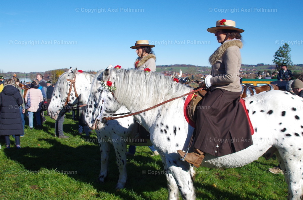 IMGP7709 | fotografiert von Axel PollmannLeonhardi Wallfahrt Benediktbeuern und Murnau, Fronleichnam, Fasching, Landschaft im Loisachtal und Benediktbeuern  - Realisiert mit Pictrs.com