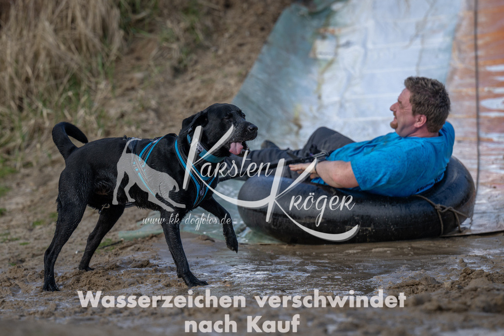0955_ZZ92677 | kk-dogfotos