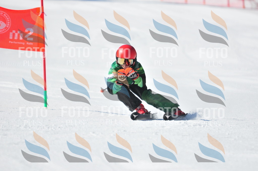 C3647 | holidayphoto