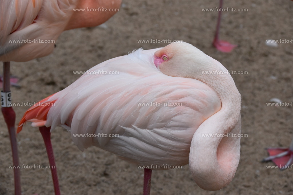 JUN_5836 | www.foto-fritz.com - Realisiert mit Pictrs.com