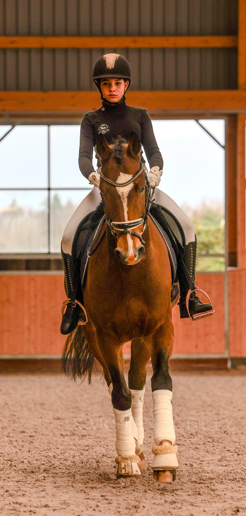 1B3A5256 | Karsten Schulz - Photography