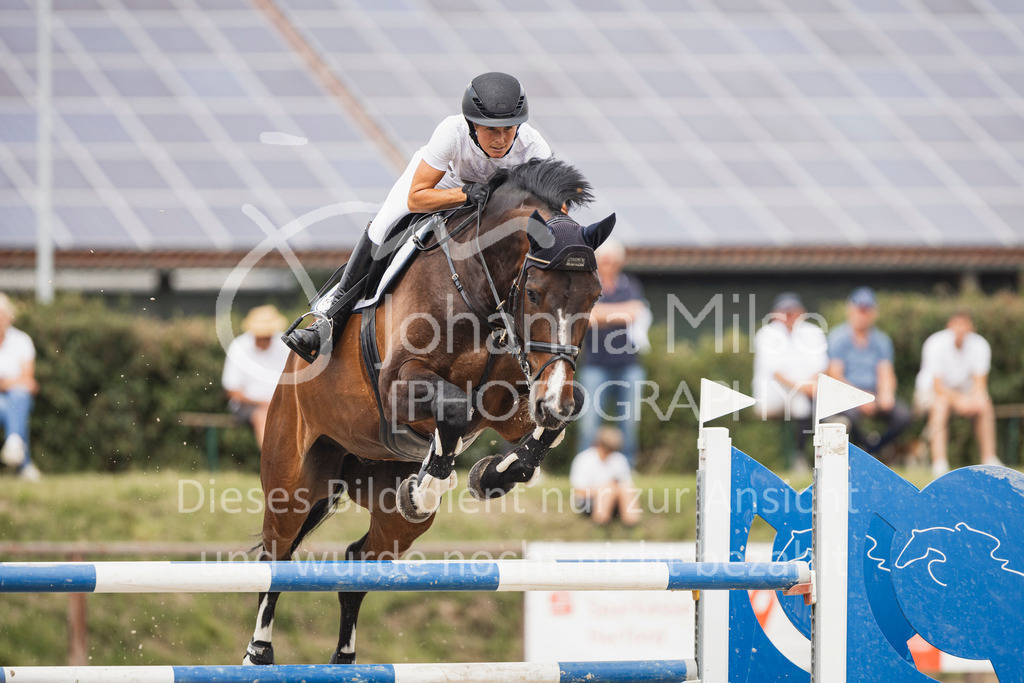 250628_PfSpTa_Youngster-S-449 | Deine schönsten Turniermomente als professionelle Fotos! Entdecke hochwertige Pferdesport-Fotografie im Online-Shop. Jetzt Fotos finden & bestellen!