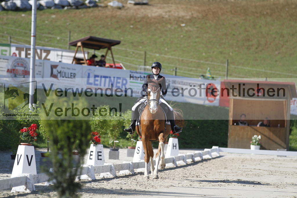 _MG_3021 | equestrian-live-com