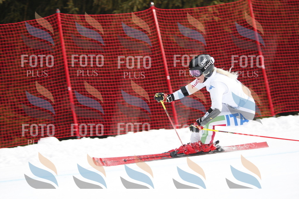 D4899 | holidayphoto